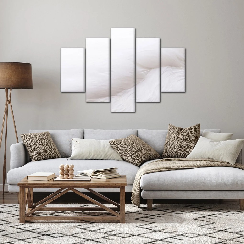 Kép - Fehér toll (150x105 cm)