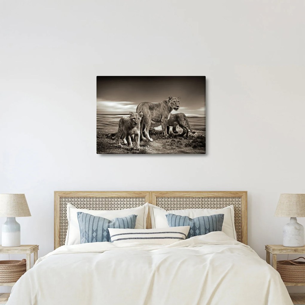 Fekete fehér tigris képe (70x50 cm)