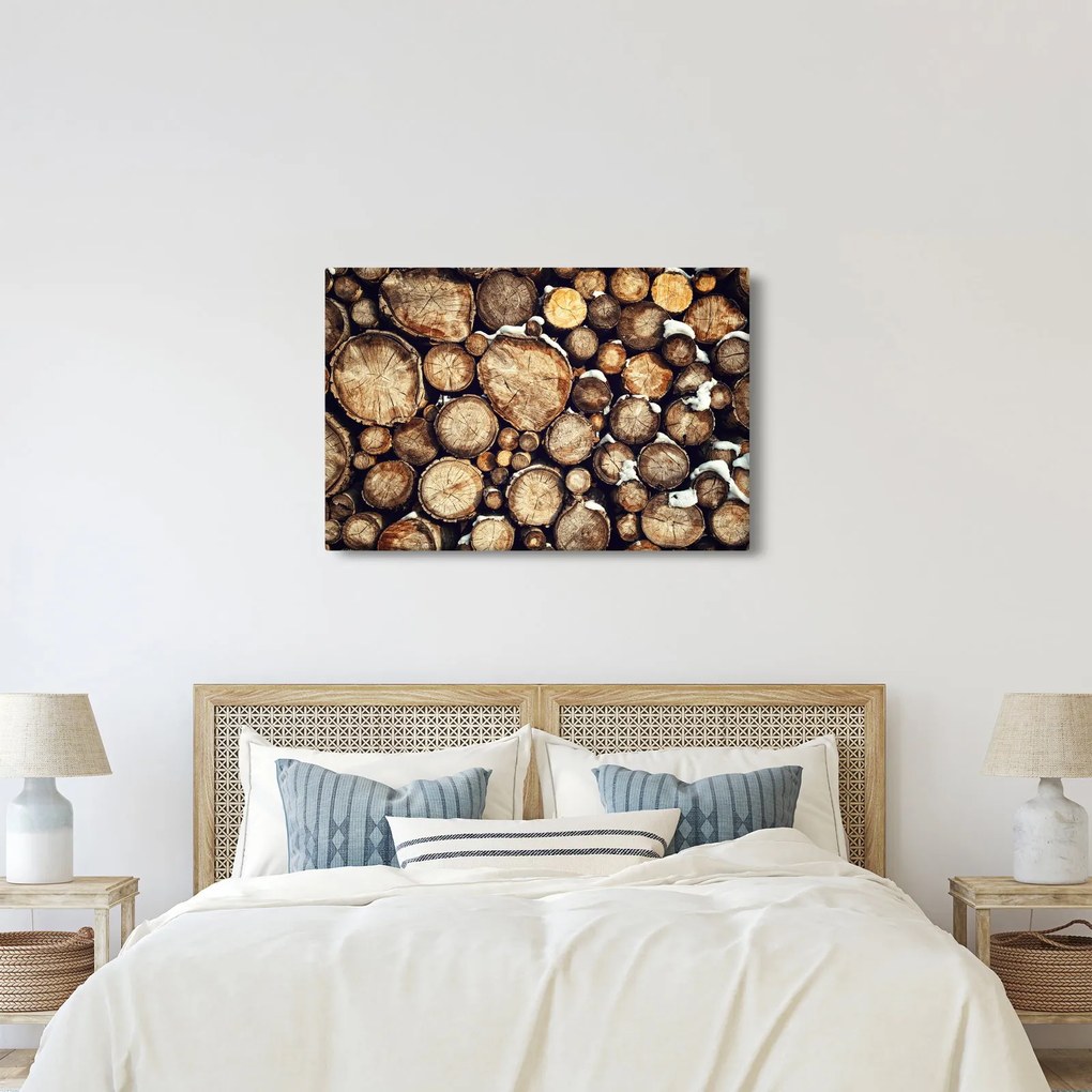 Kép - Fa a hóban (90x60 cm)
