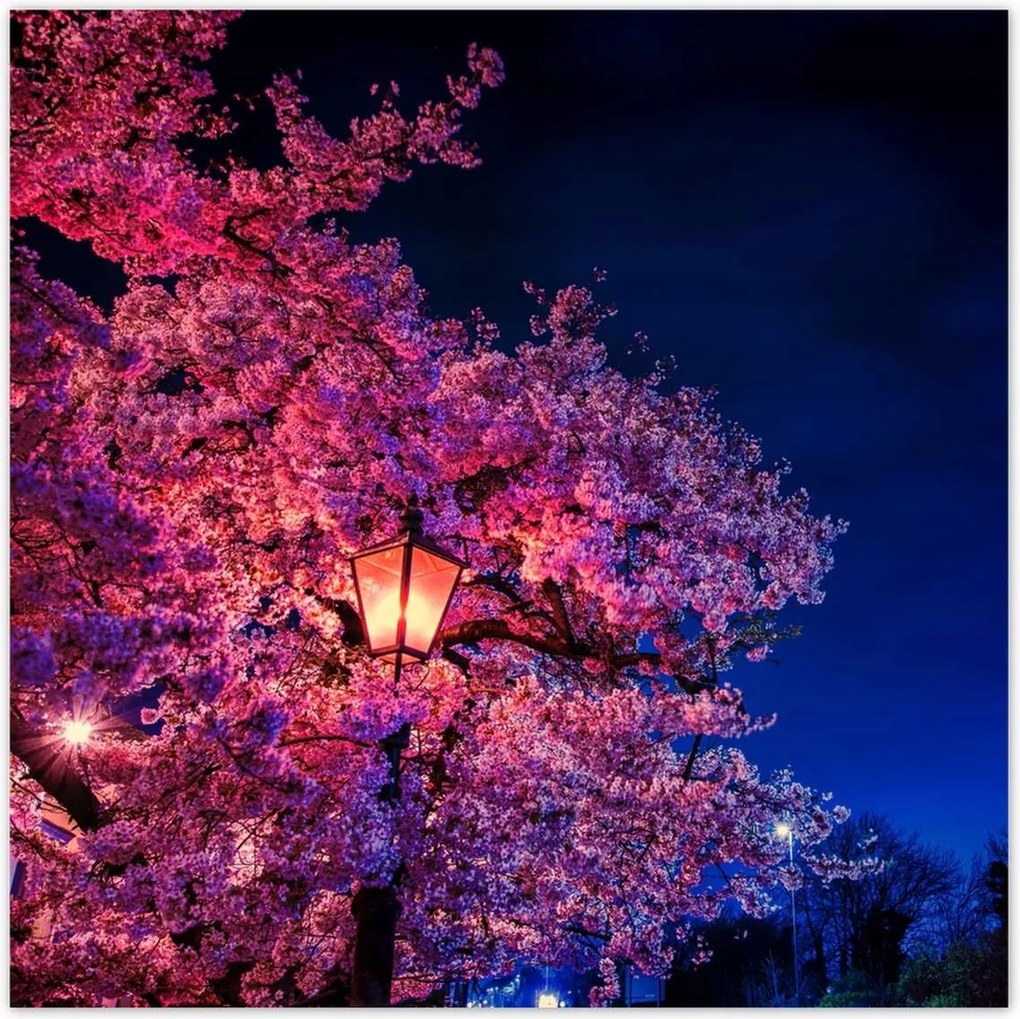 Poszterek 30x30 Hálószoba motívum Lámpa