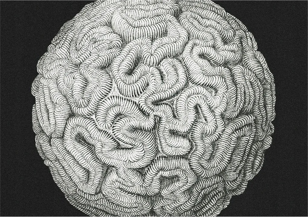 Fotótapéta Flizelin Design Divatos Gömb alakú szerkezet 312x219 Ragasztó