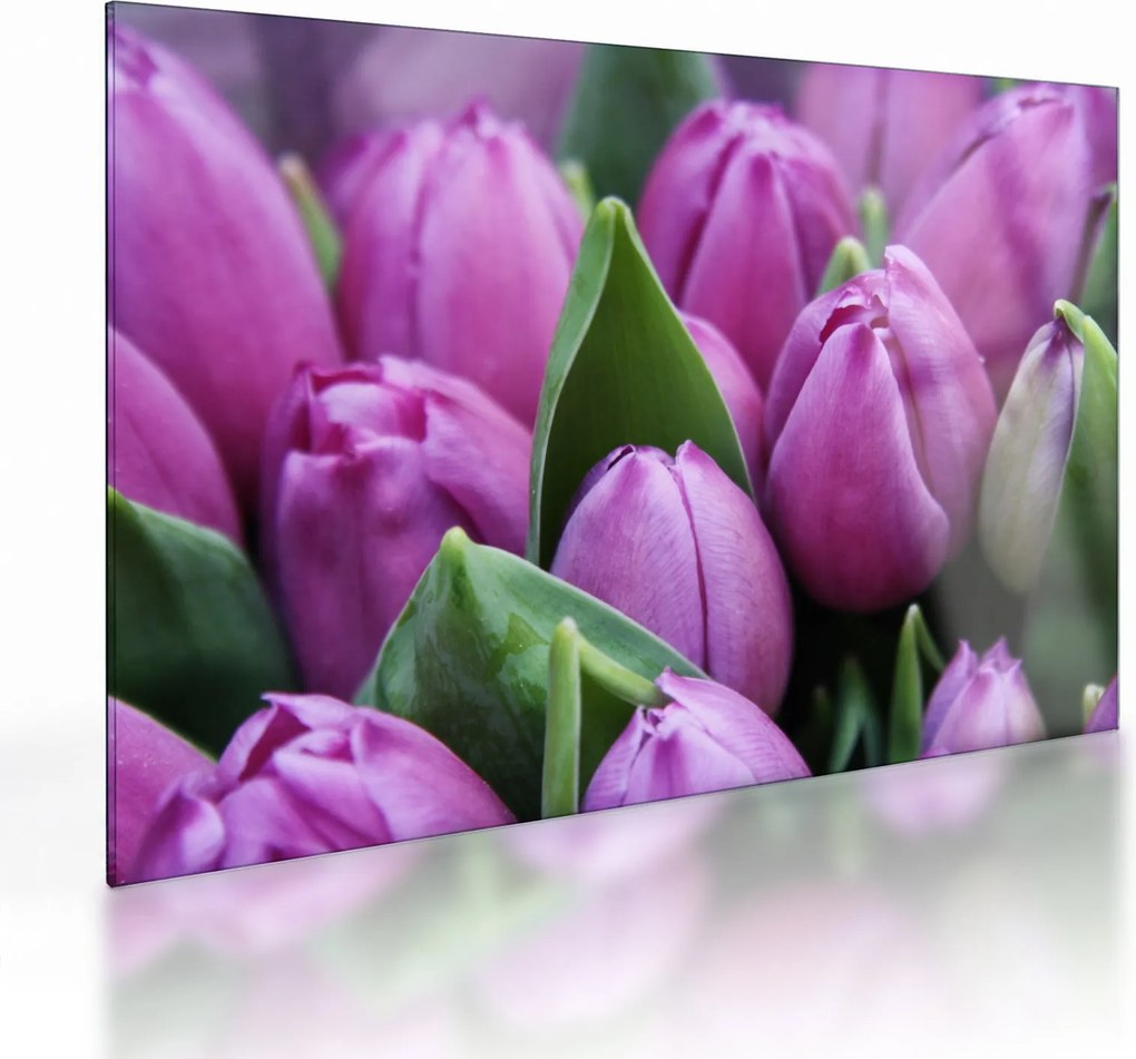 Kép - tulipánok (üvegen) (70x50 cm)