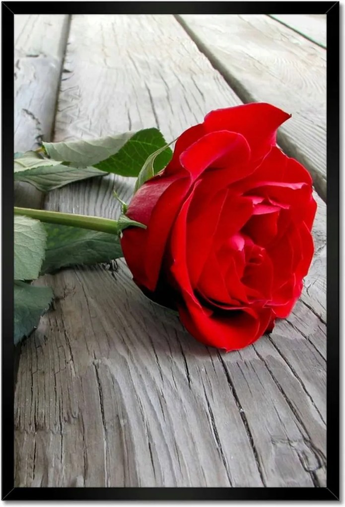 Poszterek keretben 40x60 Rózsa a deszkákon