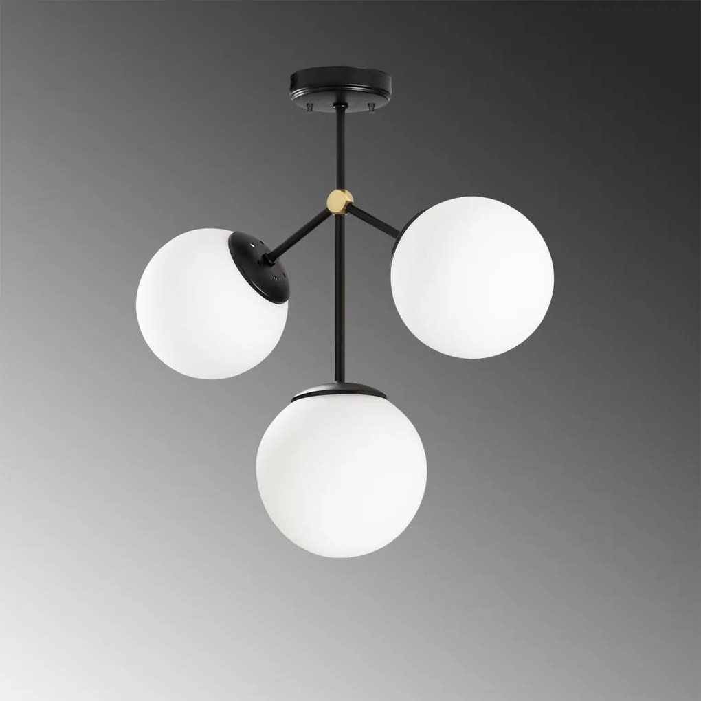 Damar - 6336