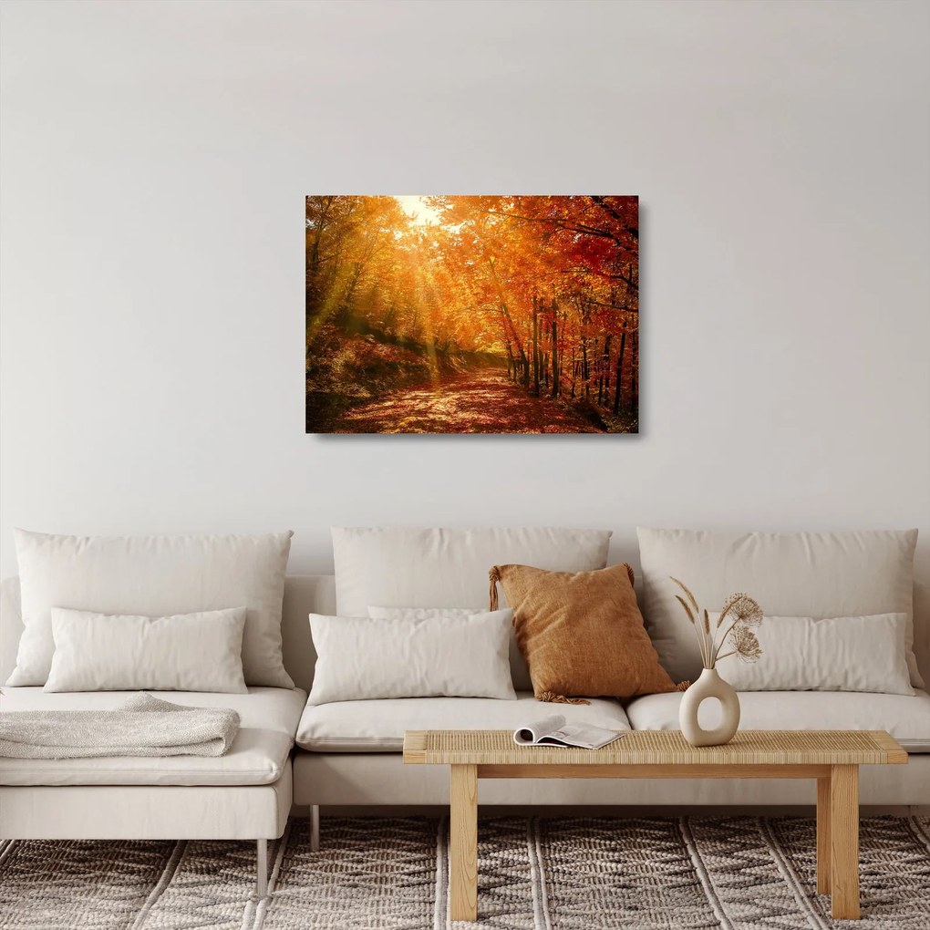 Őszi erdő képe (üvegen) (70x50 cm)