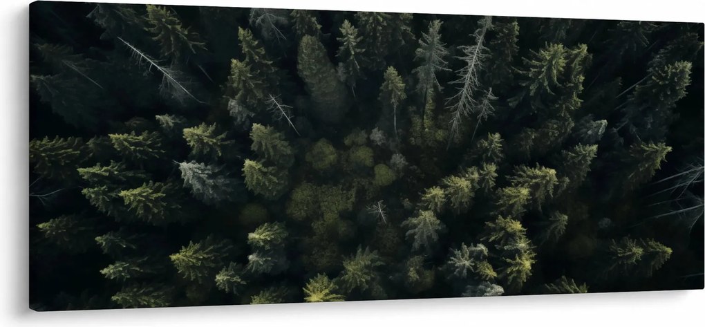 Kép - Forest (120x50 cm)