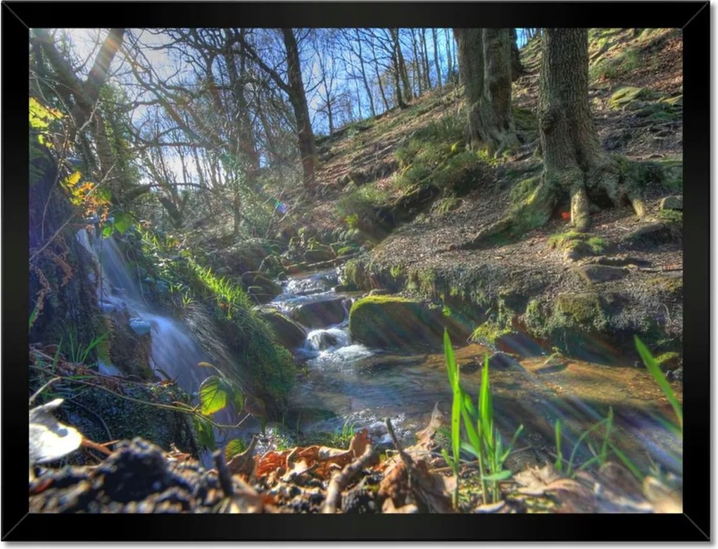 Poszterek keretben 40x30 Park napfelkeltekor