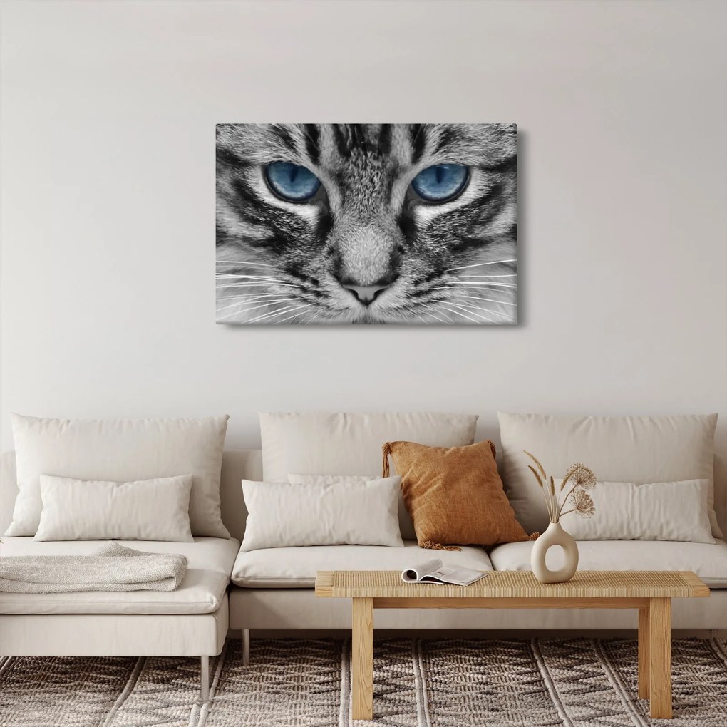 Macska képe (90x60 cm)