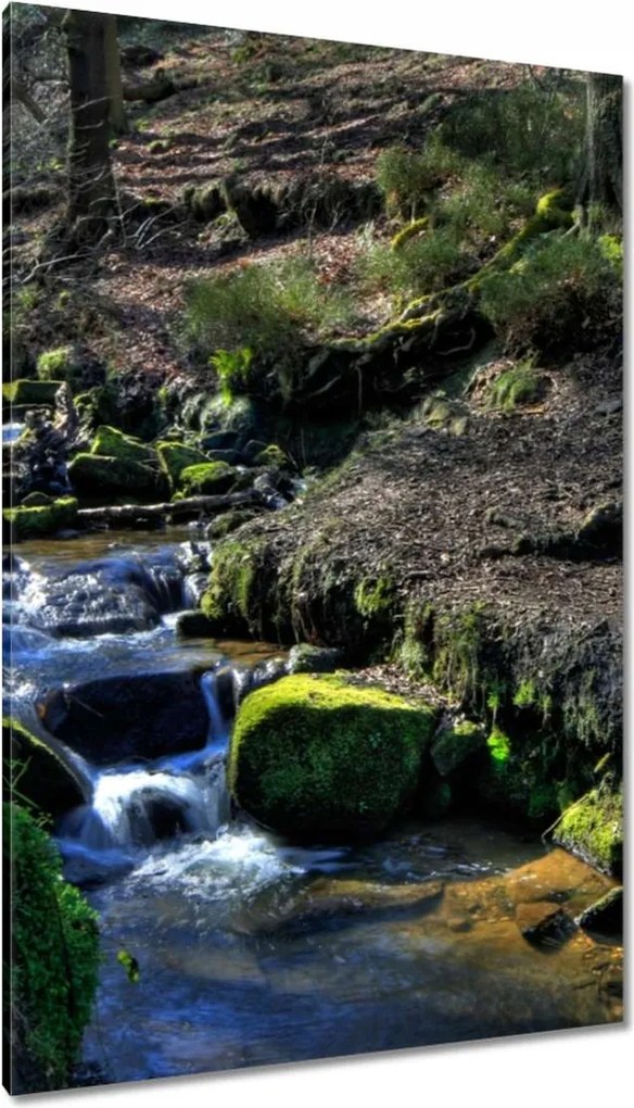 Vászonkép 80x120 Hegyi patak