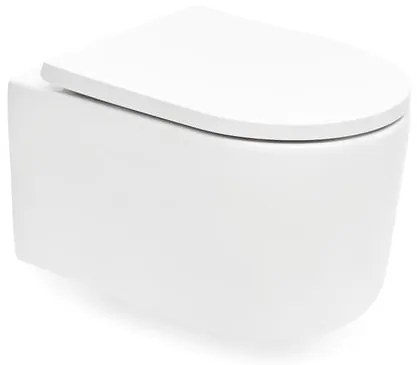 Wall-hung WC SAT with softclose seat, white, tornado, SAT72010RTORP