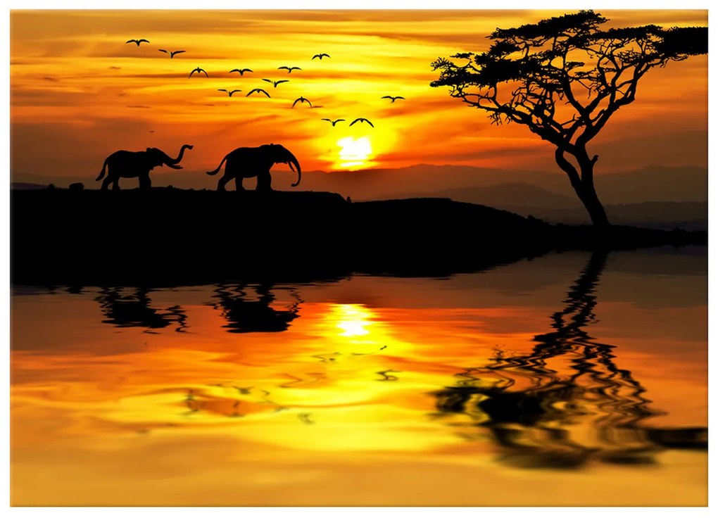 Gario Vászonkép Afrika Méret: 100 x 40 cm