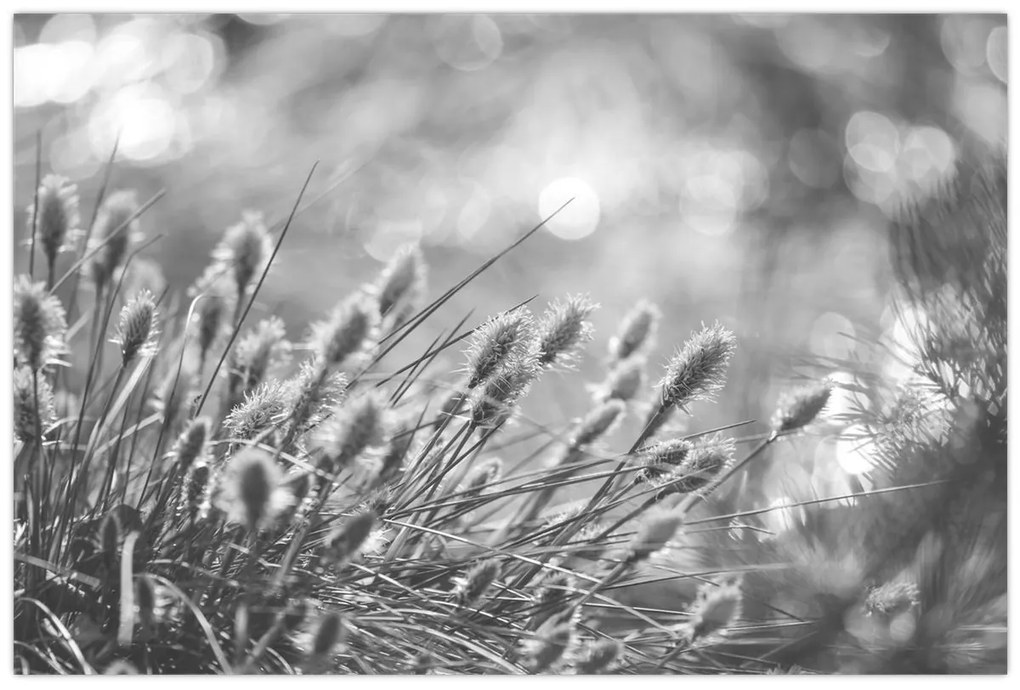 Kép - Bézs színű puha fű N⁰1 (90x60 cm)