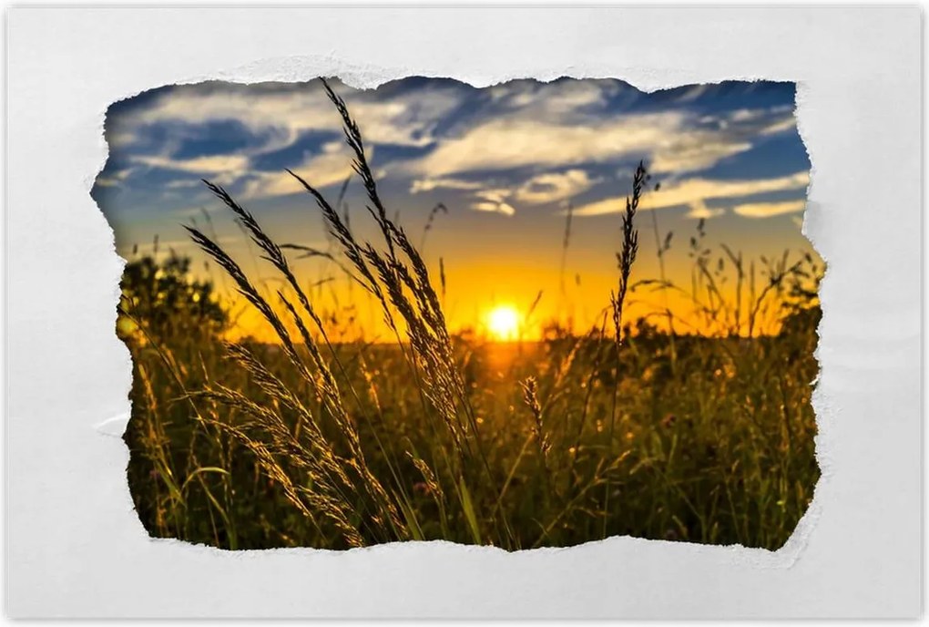 Poszterek 90x60 Naplemente a füvek között