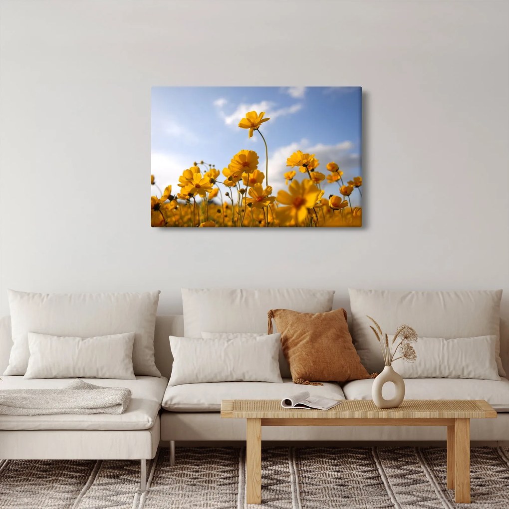 Fényes sárga virágokkal rendelkező mező képe (90x60 cm)