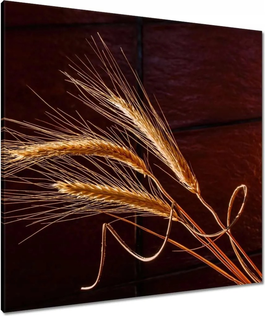 Vászonkép 80x80 Teljes kalászok
