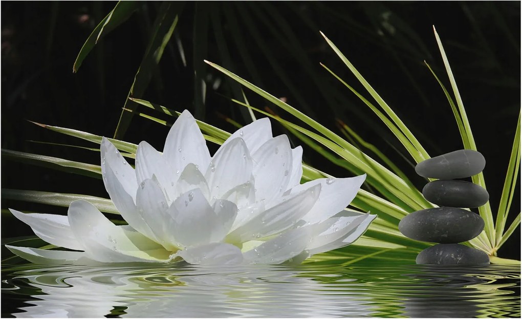 Fotótapéta Flizelin Dekoratív tapéta Liliom meditáció 416x254 Ragasztó