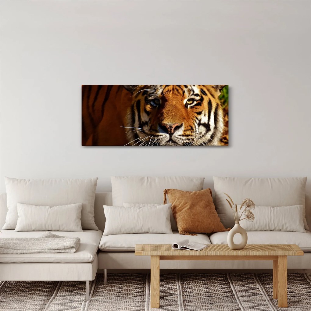 Tigris képe (120x50 cm)