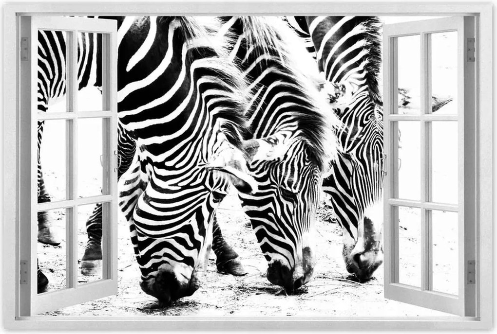 Poszterek 60x40 Zebra csíkos