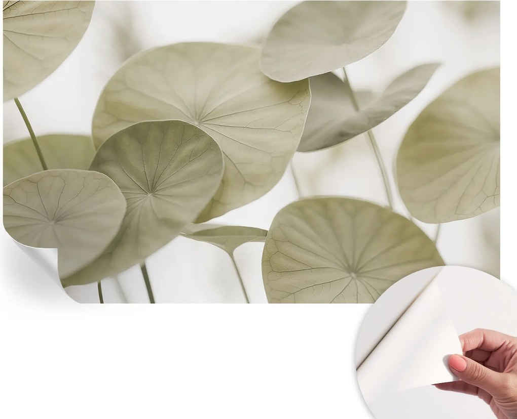 Öntapadós fotótapéta Falra 3D Loft Természetes elegancia 416x254 cm