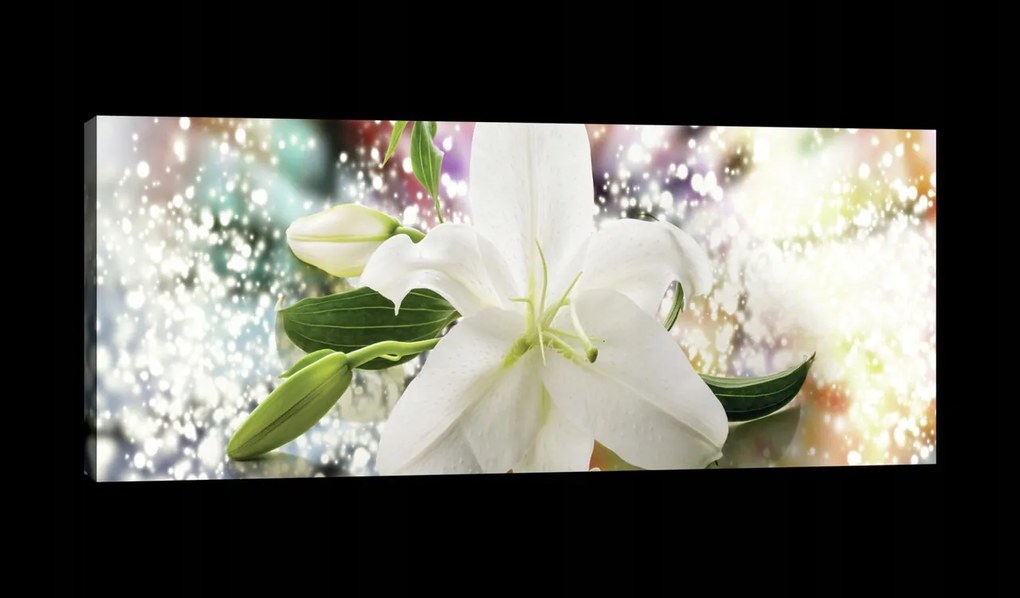 Vászonkép 145x45 Fehér liliom virág bimbó zöld bokeh fény tisztaság