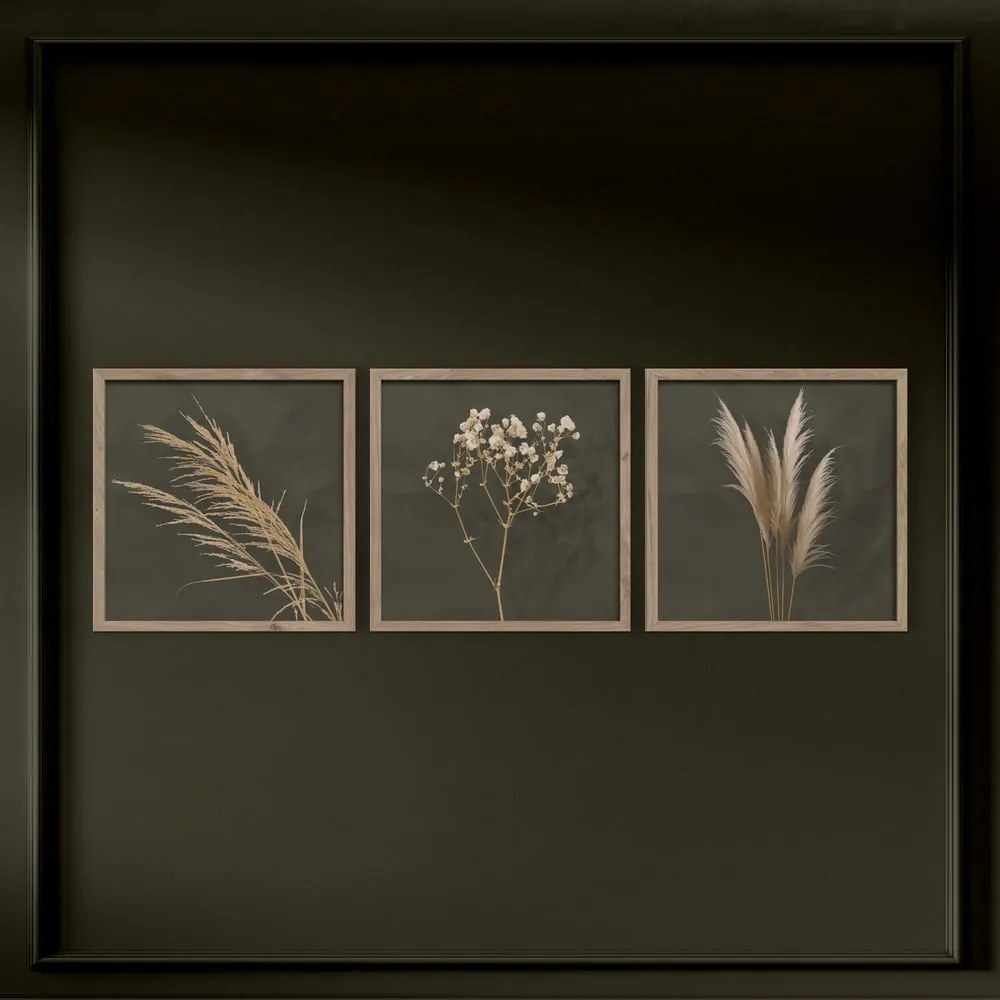 Kép szett 3 db-os 30x30 cm Pampas – Styler