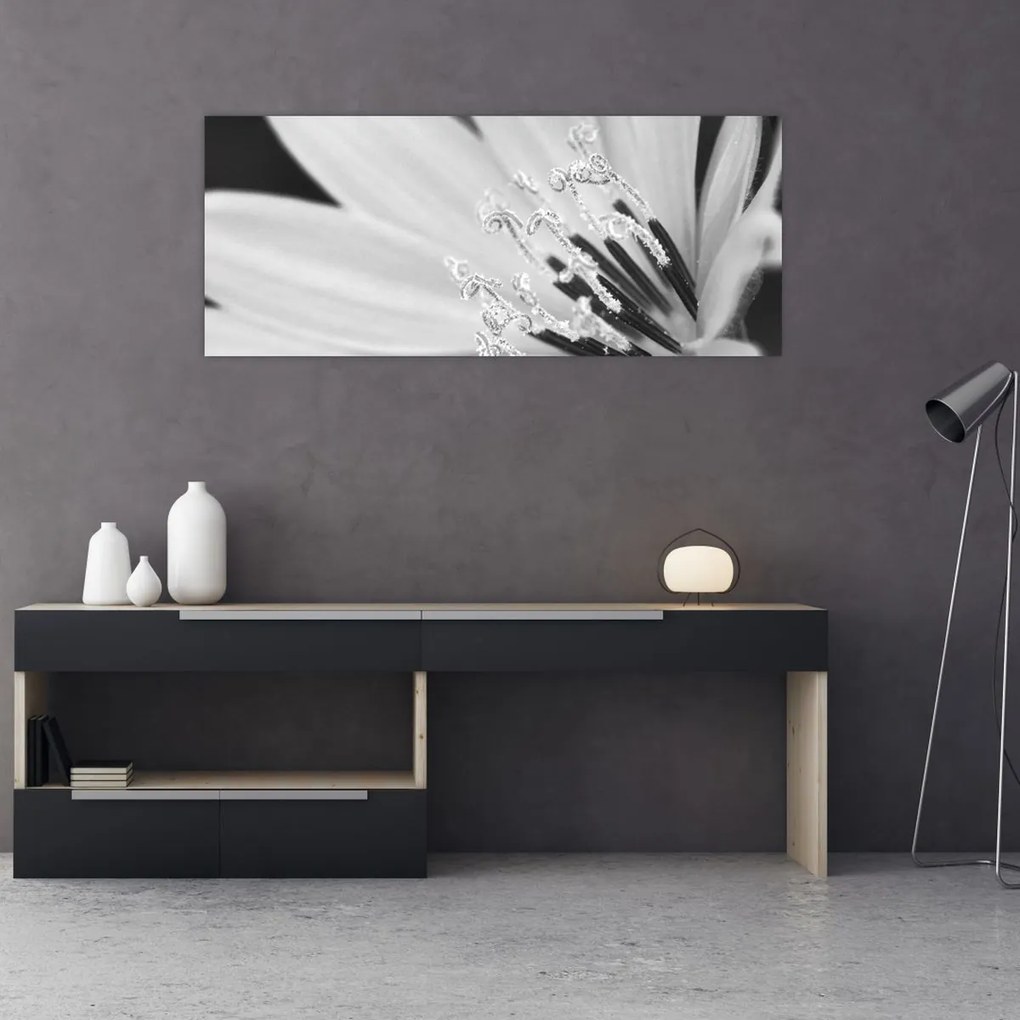 Kép - Fekete-fehér virág (120x50 cm)