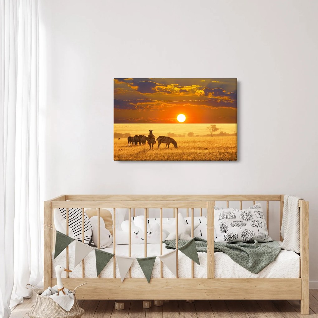 Kép - Zebrák naplementével (90x60 cm)