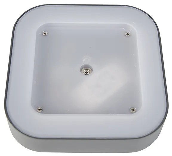 Fali és mennyezeti lámpa szürke négyzet alakú IP54 - Ariel