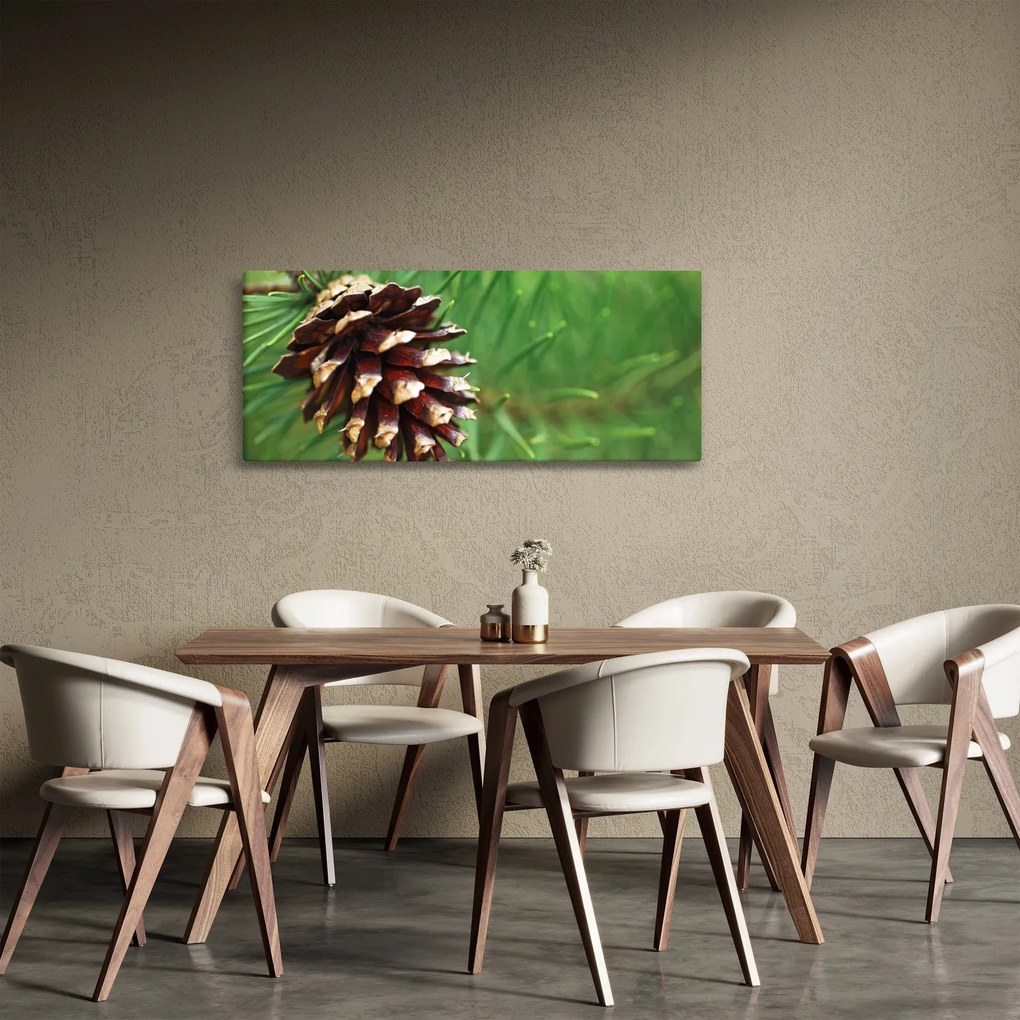 Fenyőtoboz képe (120x50 cm)