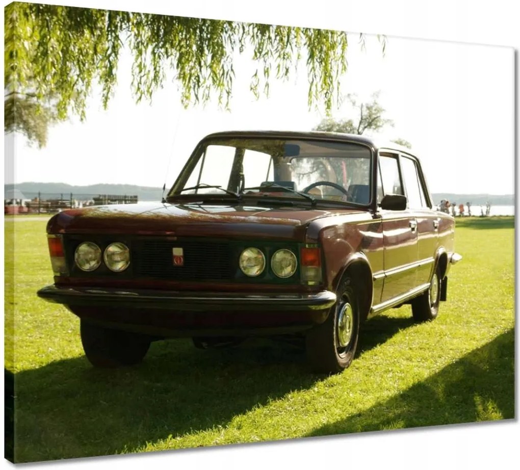 Vászonkép 50x40 Nagy Fiat