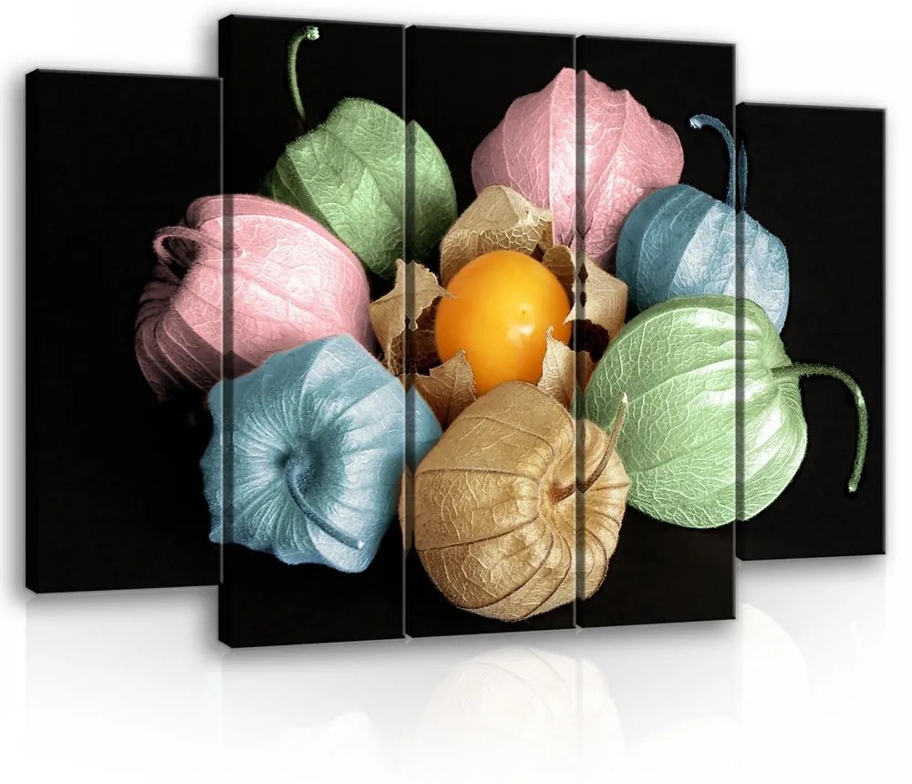 Vászonkép, 5 darabos Lampionvirág színesben 150x100 cm méretben