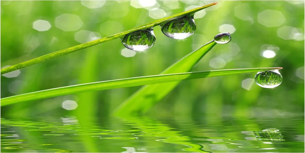 Fotó üvegkép Cseppek a fűben 140x70