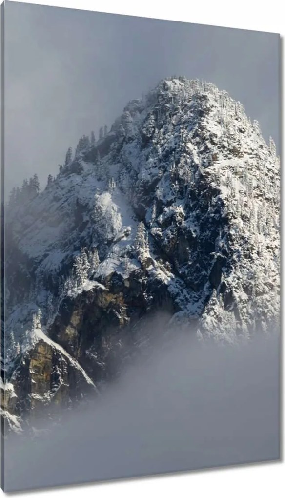 Vászonkép 80x120 Tél Hegy Hó Köd