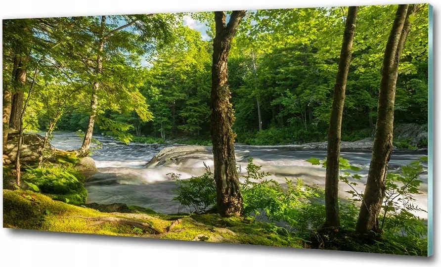 Fotó üvegkép Patak az erdőben 125x50