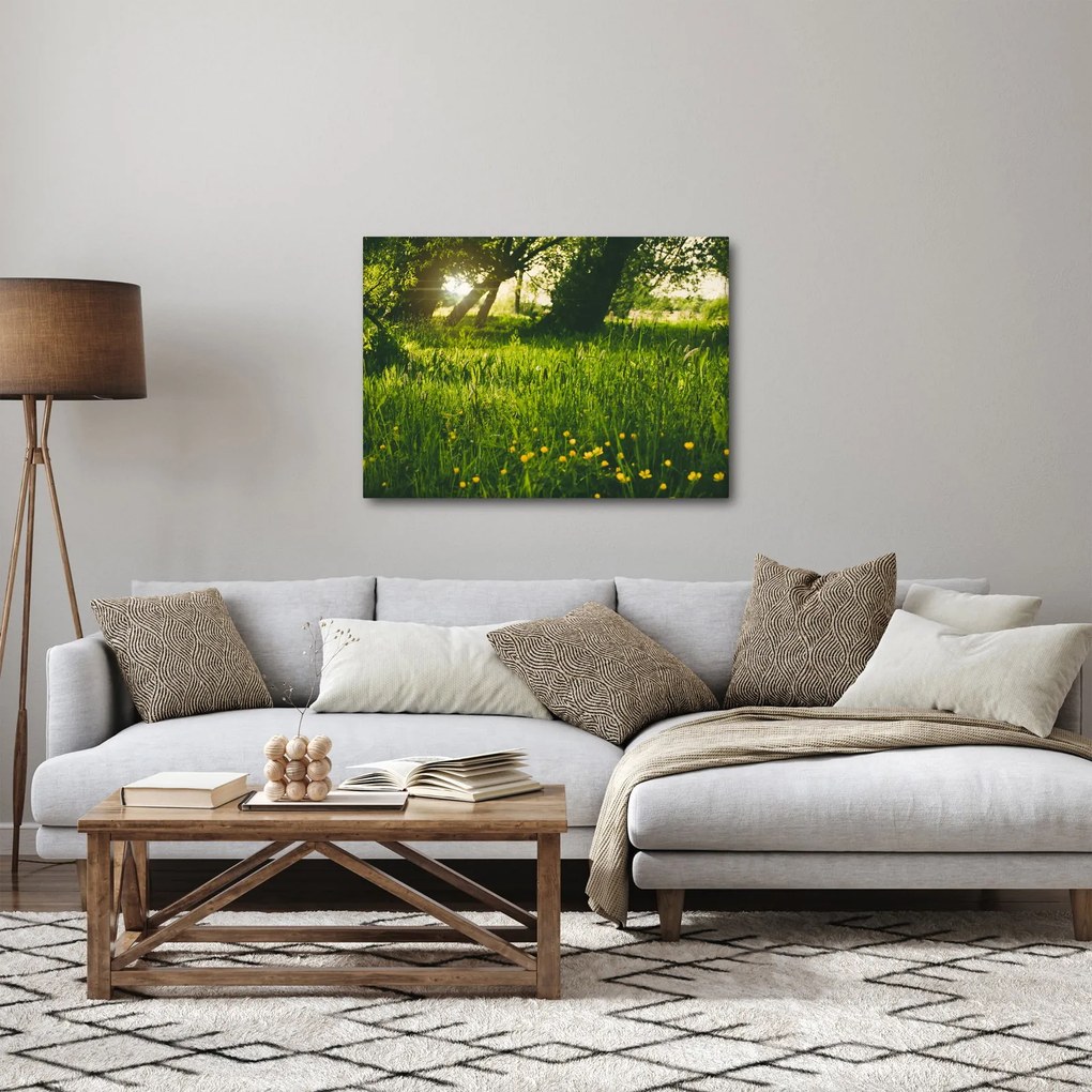 Tájkép - rét (70x50 cm)