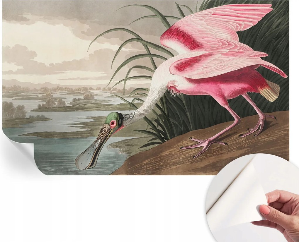 Öntapadós fotótapéta Konyha Mosható Egzotikus madár 416x254 cm