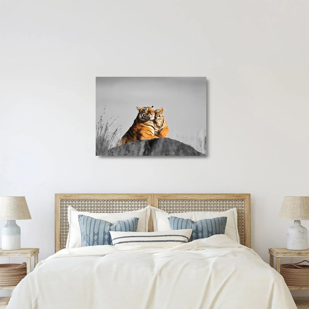 Kép - Tigris és a kölyke, fekete-fehér változat (üvegen) (70x50 cm)
