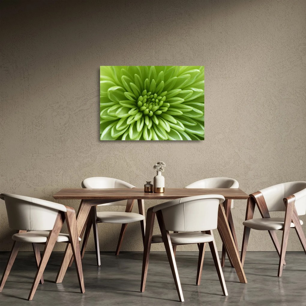 Üveg kép - Makro kép egy növényről (70x50 cm)