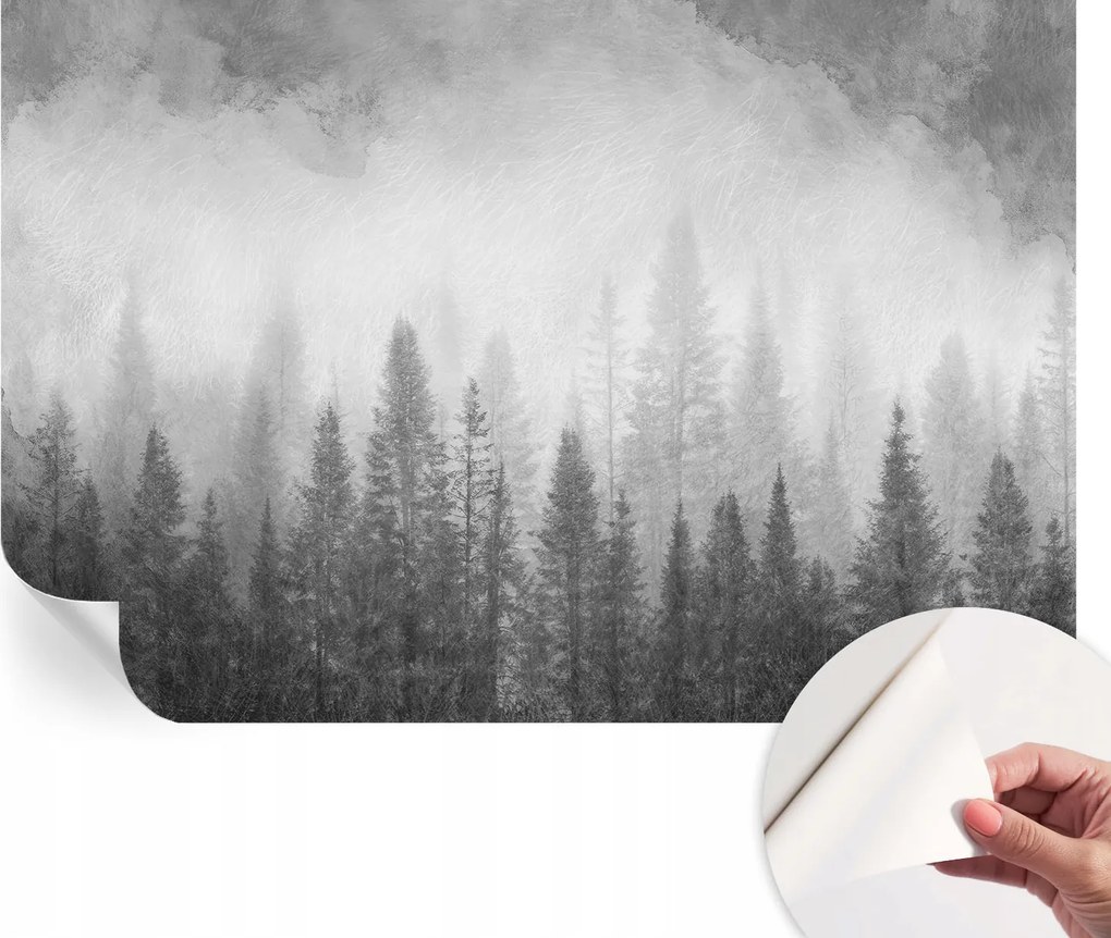 Modern fali fotótapéta konyhába nappaliba Hálószobába Erdei köd 104x70