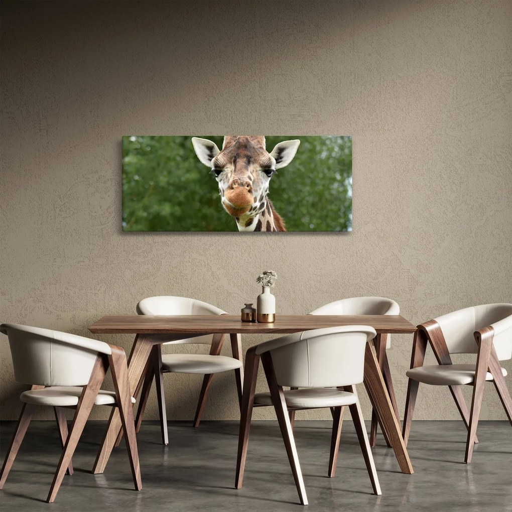 Egy zsiráf képe (120x50 cm)