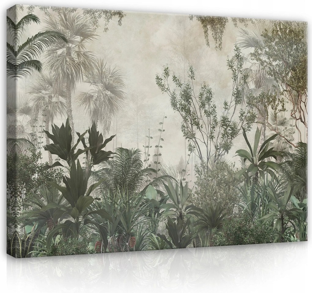 Vászonkép 80x60 Dzsungel trópusok levelek zöld természet növények erdő egzotikum