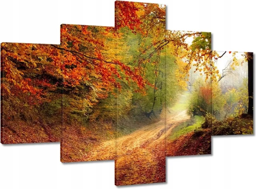 Vászonkép 100x70 Út az erdőben ősz