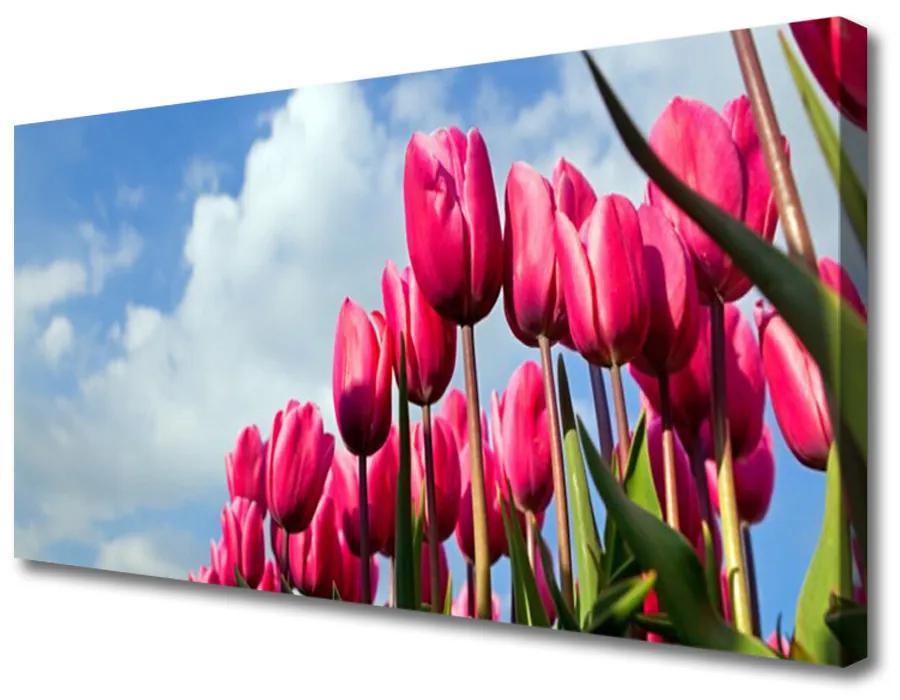 Vászonfotó Tulipán Fal 125x50 cm