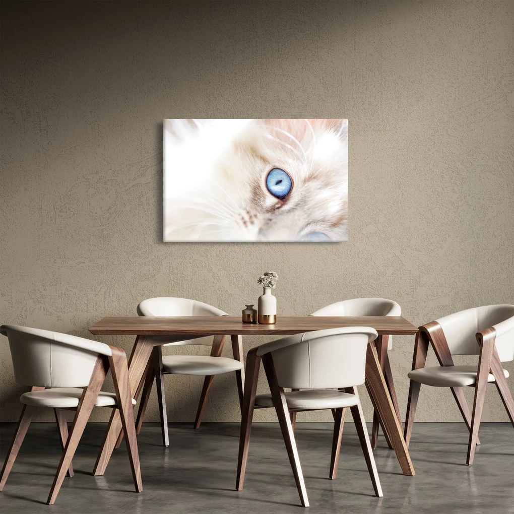 Kép - Cica (90x60 cm)