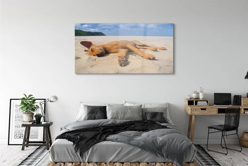 Üvegképek Fekvő kutya strand 120x60cm