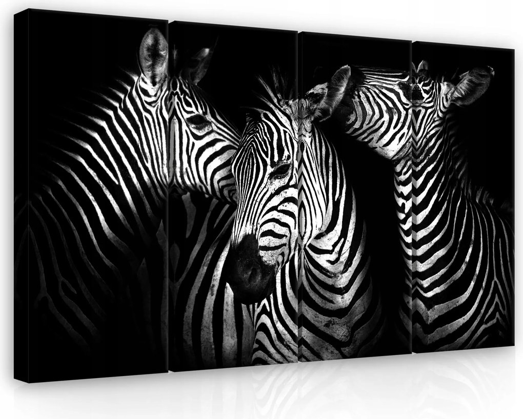 Vászonkép 120x80 Zebra fekete-fehér Afrika csíkos grafika modern elegancia