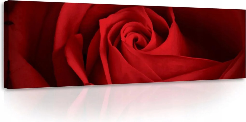 Vászonkép falikép rózsa piros fekete 145 x 45