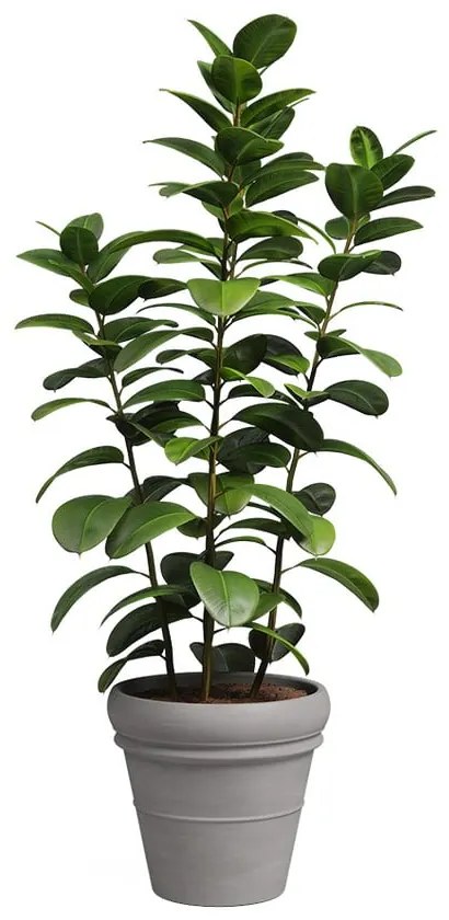 Terrakotta virágcserép ø 37 cm Mariza – Artevasi