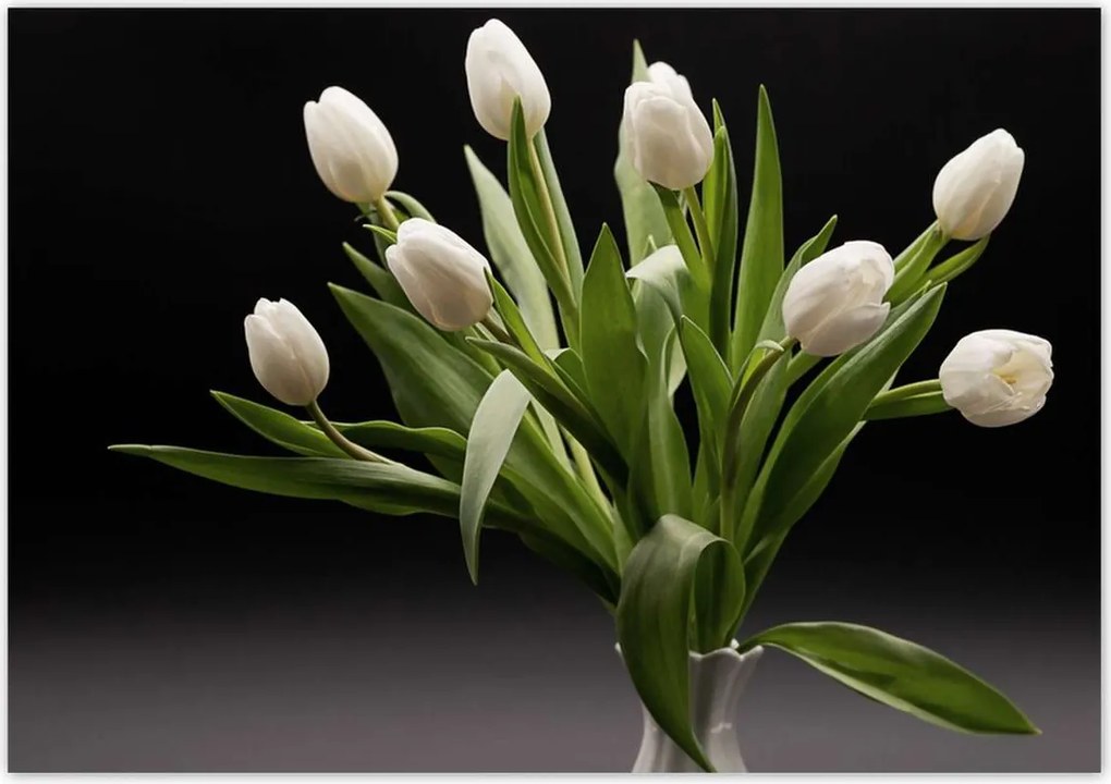 Poszterek 100x70 Fehér tulipánok vázában