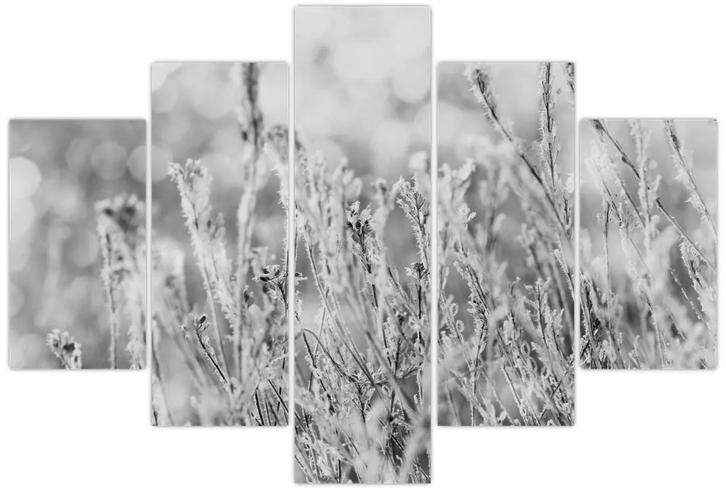 Kép - Hideg tél (150x105 cm)